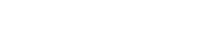 Mr Wong\'s Chicken