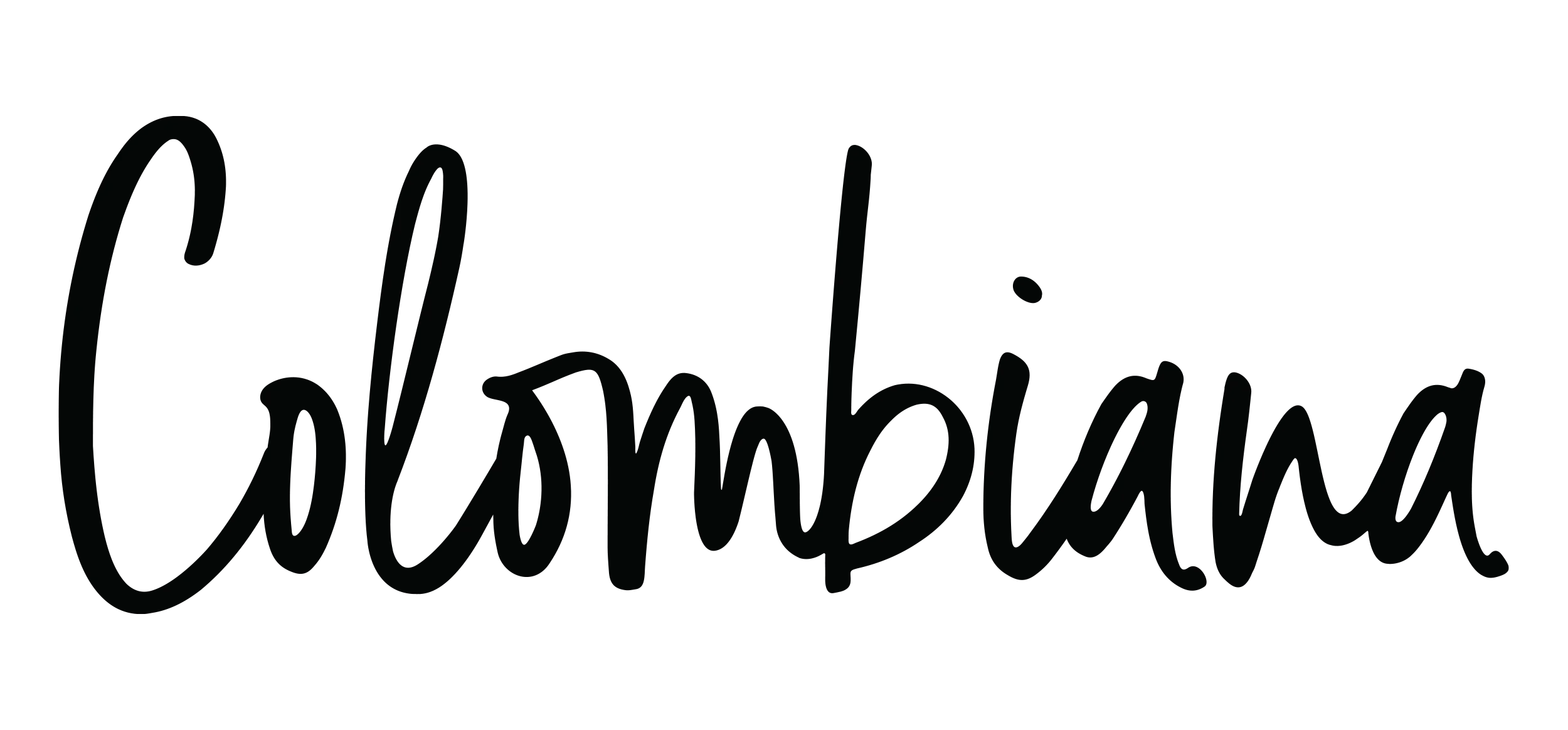 Colombiana Boutique