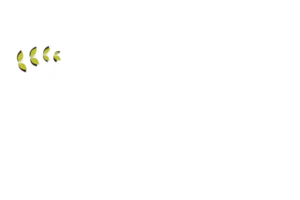 Cascade Theatre