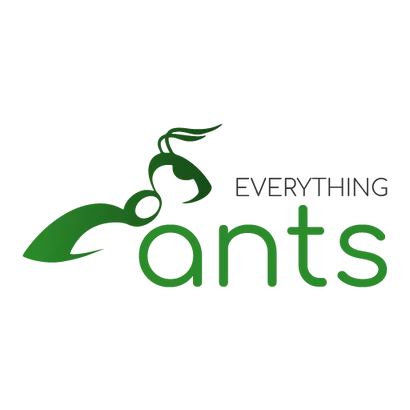 Everything Ants