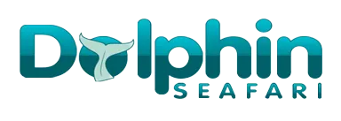 Dolphin Seafari