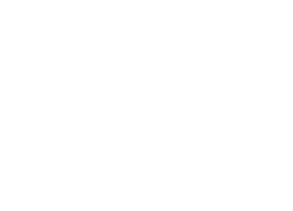 niagarafallshilton.com