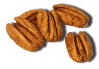 Wood Pecan