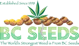 Bc Seeds