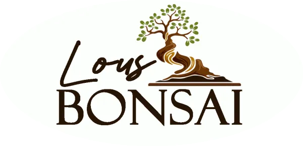 Lous Bonsai