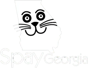 SpayGeorgia