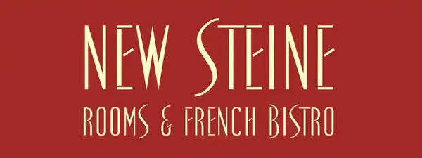 newsteinehotel.com