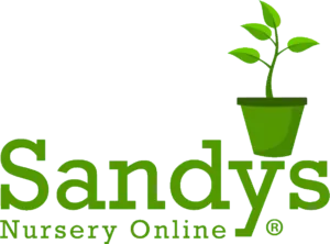 Sandys Nursery Online