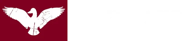 Kay Bahd Apparel