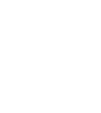 Protopipellc