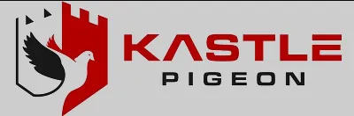 Kastle Pigeon