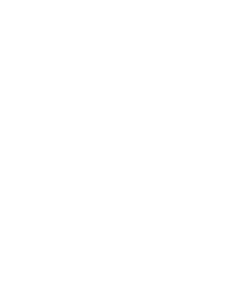 AccuZIP