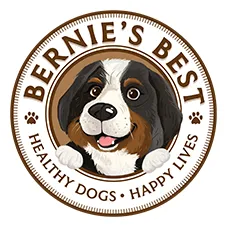 bernies.com