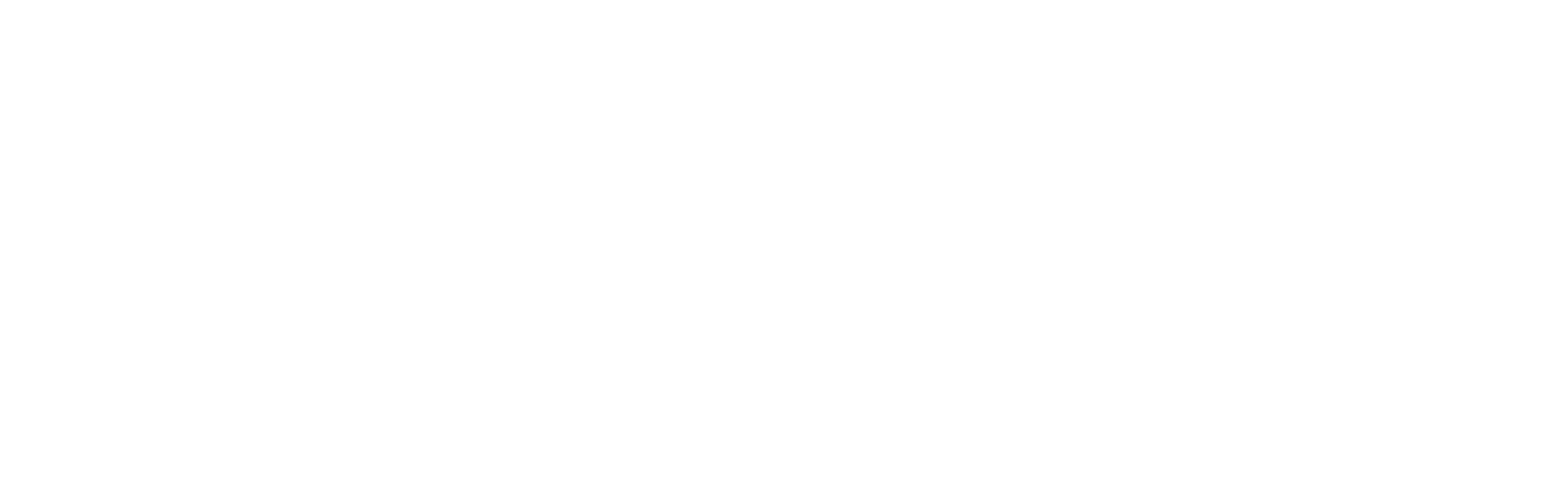 Texas Precious Metals