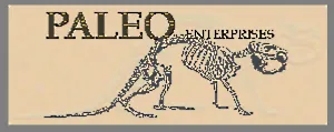 Paleo Enterprises