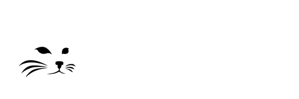 Bobcat Lighting