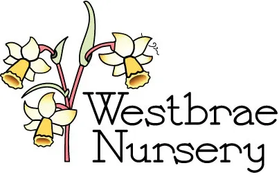 westbrae-nursery.com