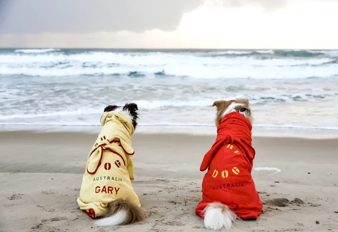 Surf Dog Australia