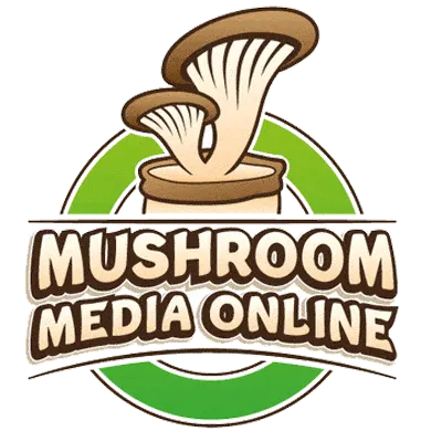 Mushroom Media Online