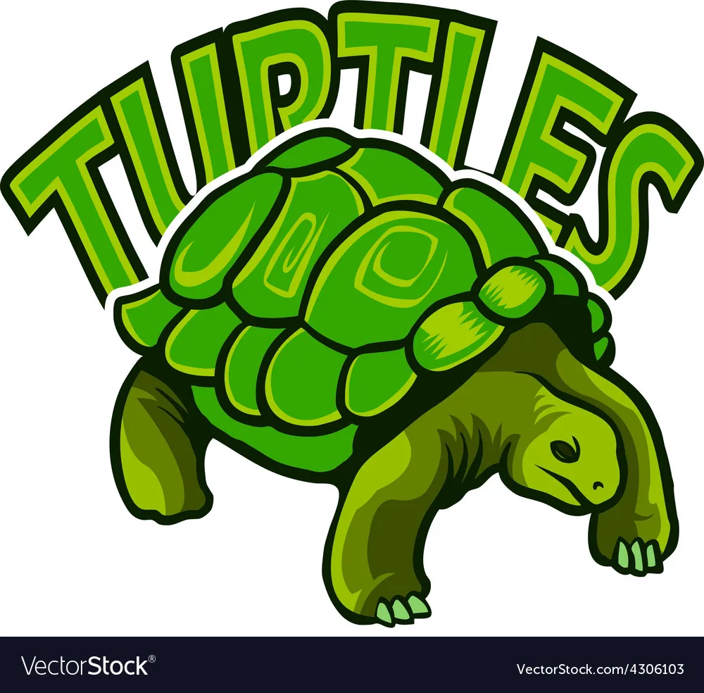 realturtlestore