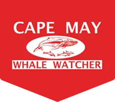 Cape May Whale Watcher