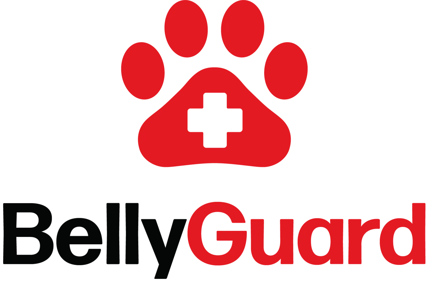 thebellyguard.com