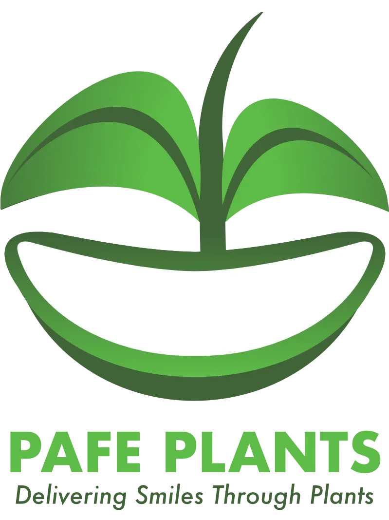 Pafe Plants