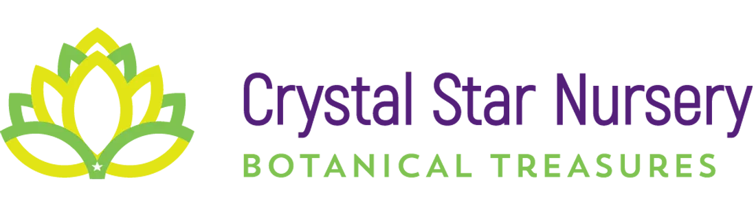 Crystal Star Nursery