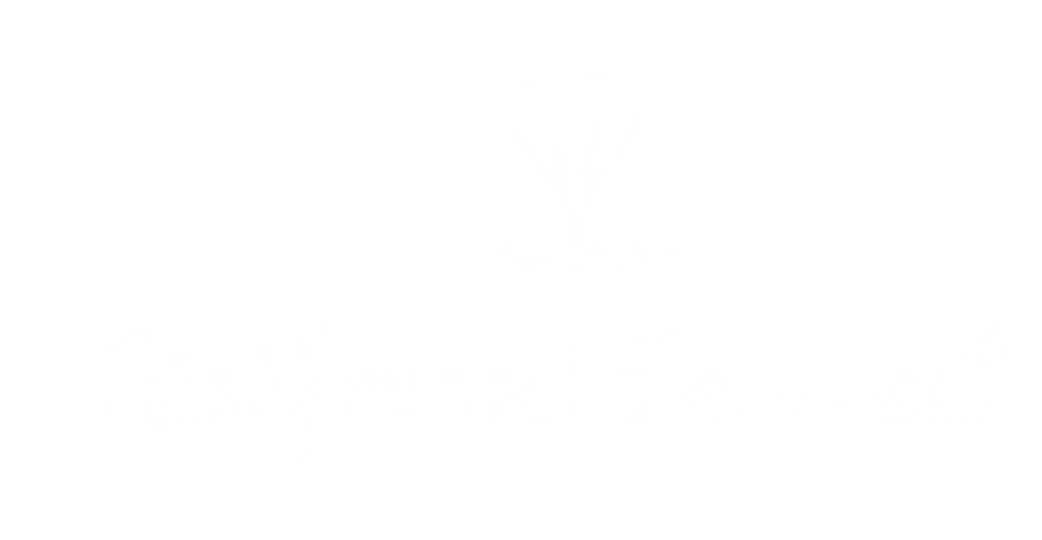 hollywoodparasail.com