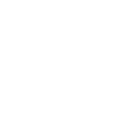 Burger City Grill