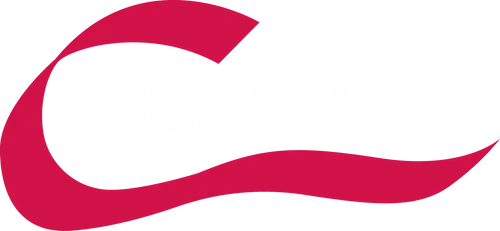 Chudleys