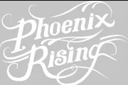 phoenixrisingartists.com