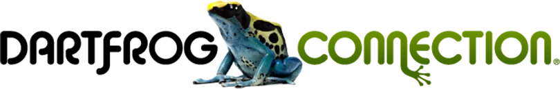 Dart Frog Connection