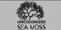 Uncolonized Sea Moss