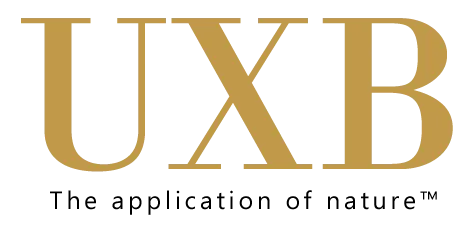 UXB Skincare