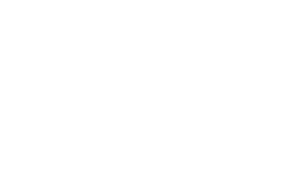 Camp Of The Woods