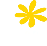 Flower Camping