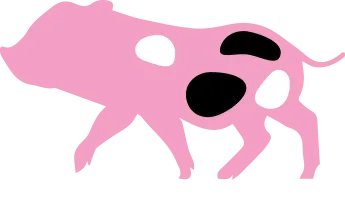 Mini Pocket Pigs