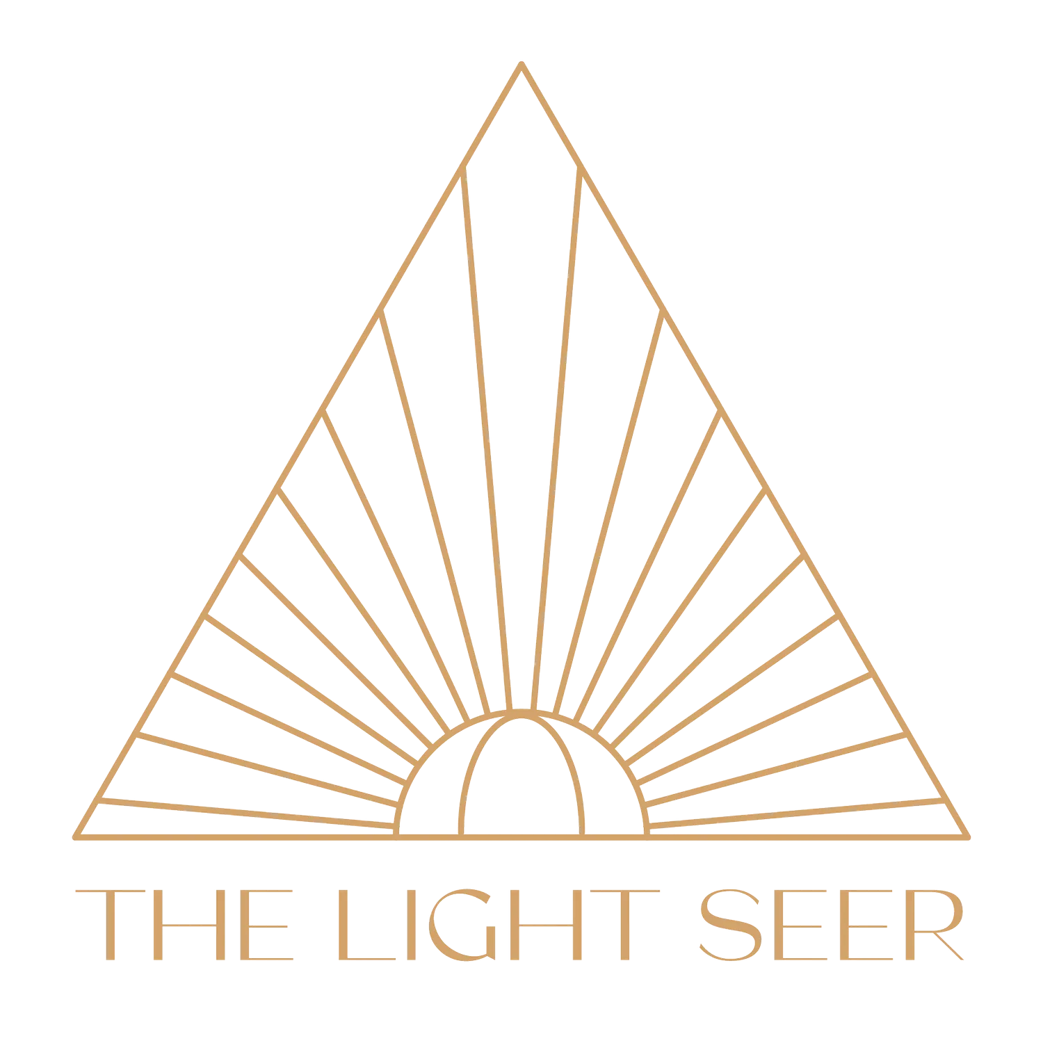 thelightseer.com