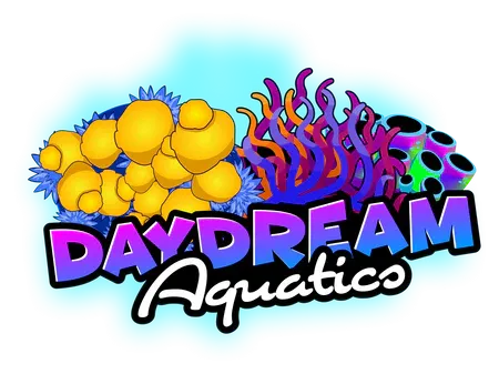 DayDream Aquatics