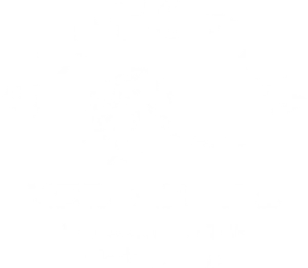 bluestemmercantile.com