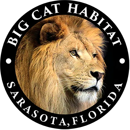 Big Cat Habitat