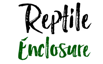 Reptile Enclosure