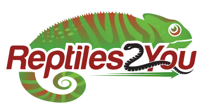 Reptiles2You