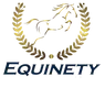 Team Equinety