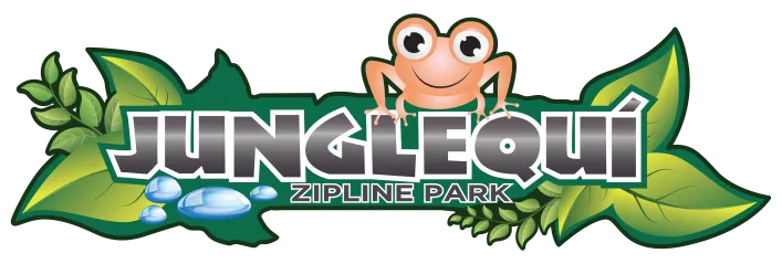 junglequipr.com