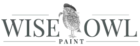 Wise Owl Paint