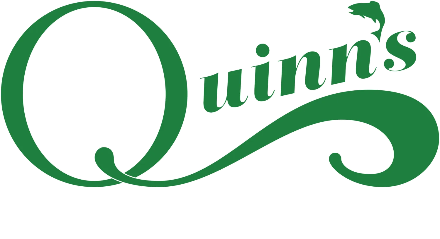 Quinn's Hot Springs