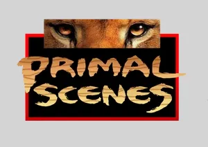 Primal Scenes