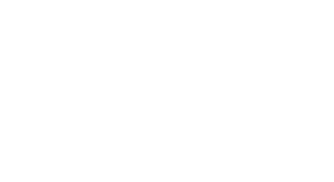 Axe 419